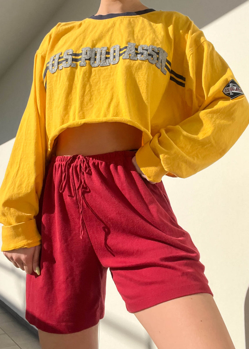 us polo assn neckties