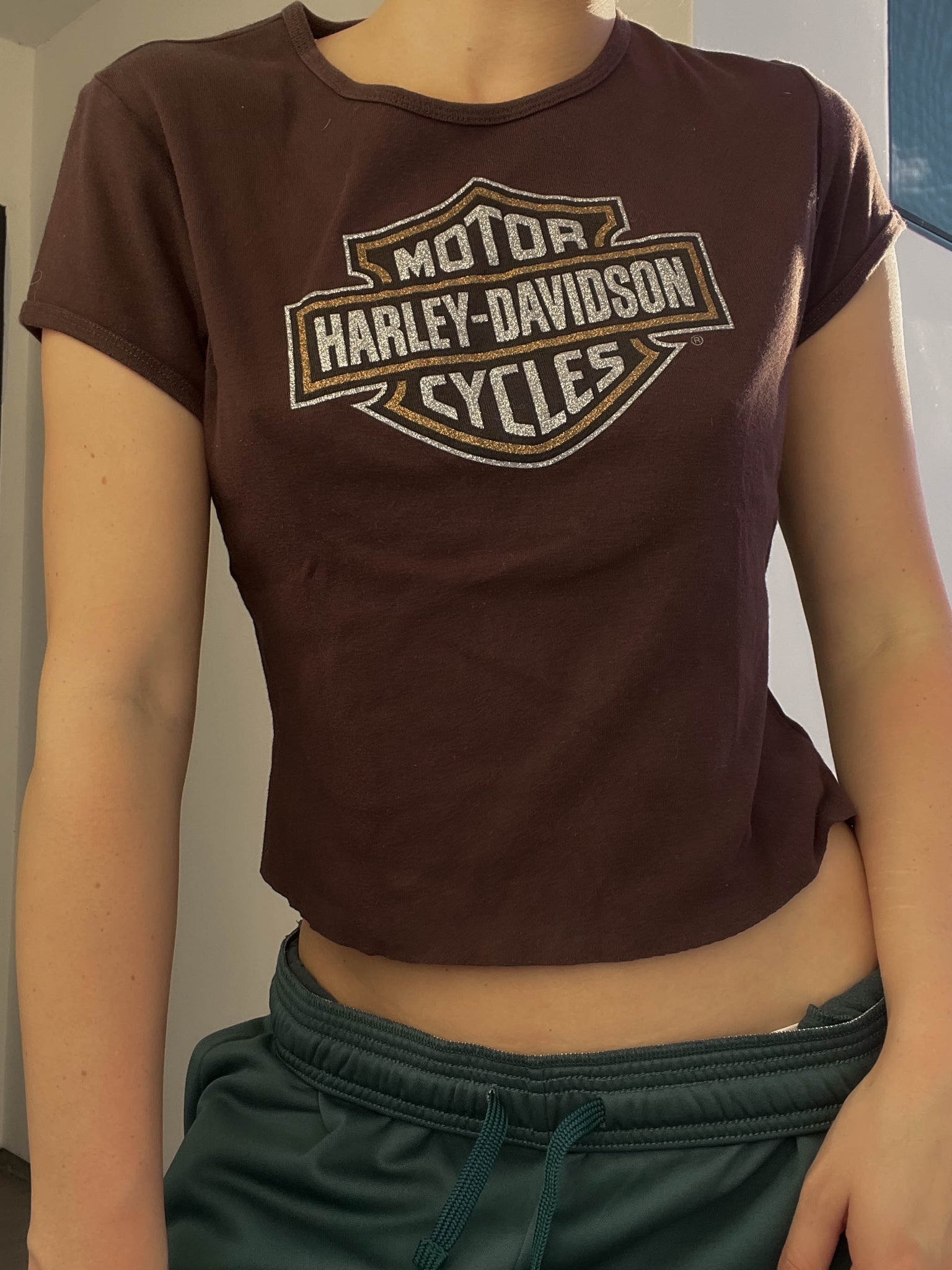 Y2k Brown Harley Tee (S)