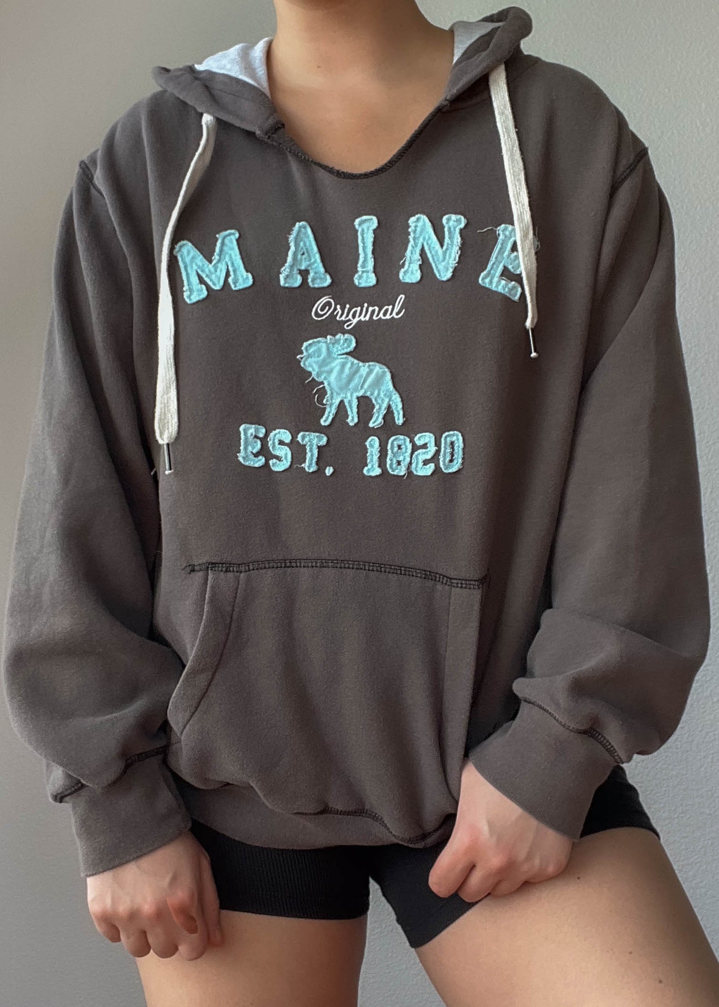 2000’s Maine Hoodie (M)