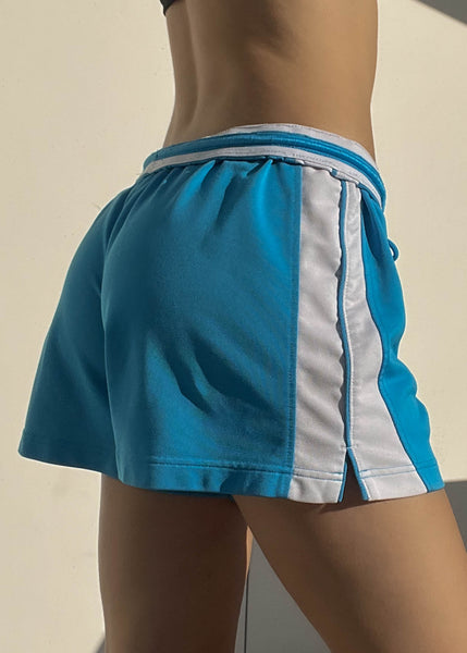 Blue & White Nike Athletic Shorts (M)