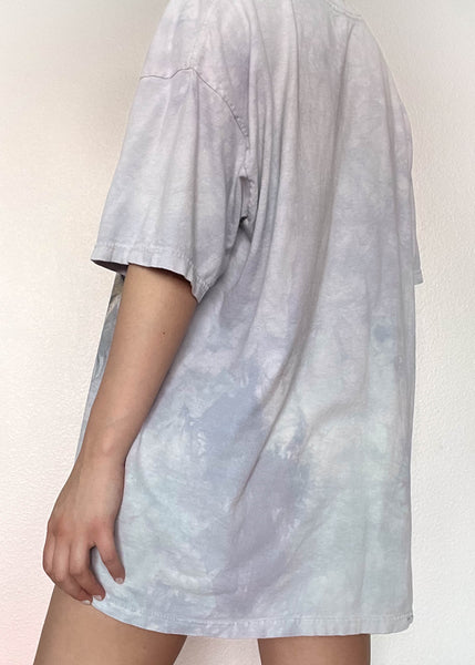 Graphic Dinosaur Tee (L)