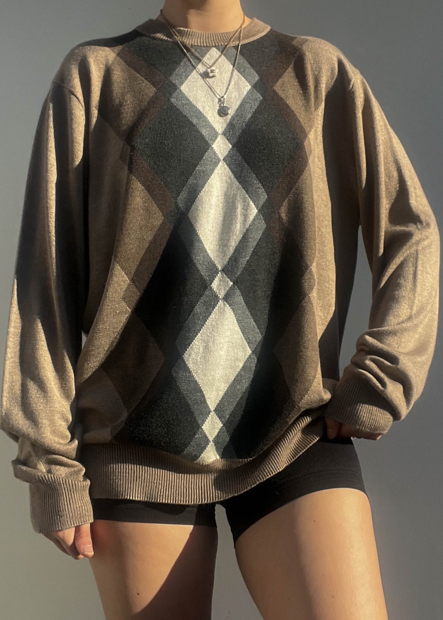 Theodore Y2k Sweater (L)