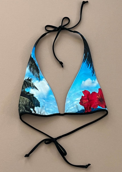 Y2k Aaron Chang Bikini Top (S-M)