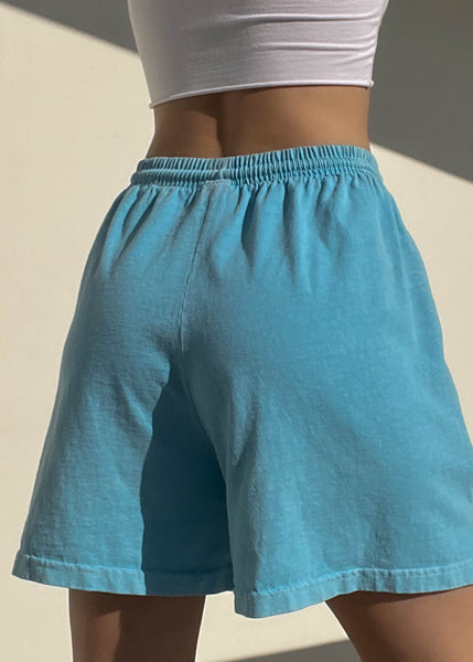 90's Blue Drawstring Shorts (M)
