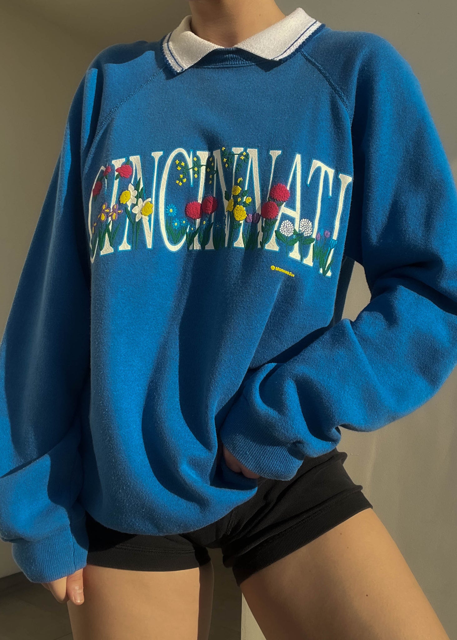 Cincinnati Collared Crewneck (M-L)