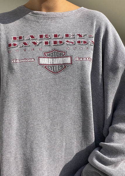 2002 Gray Harley Davidson Thermal
