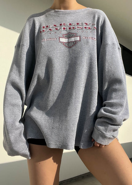 2002 Gray Harley Davidson Thermal