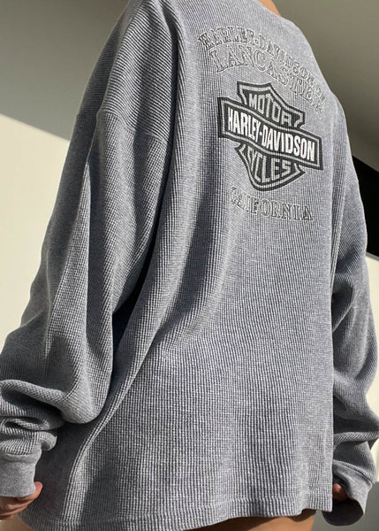 2002 Gray Harley Davidson Thermal