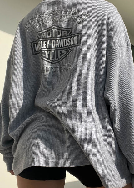 2002 Gray Harley Davidson Thermal