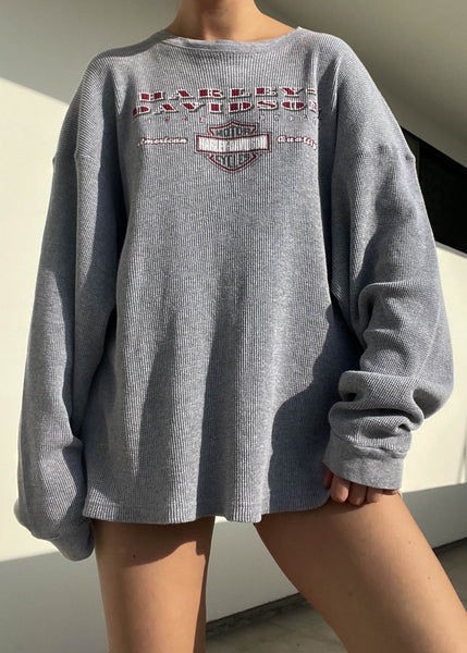 2002 Gray Harley Davidson Thermal
