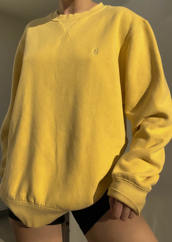 Sunshine Izod Crewneck (L-XL)