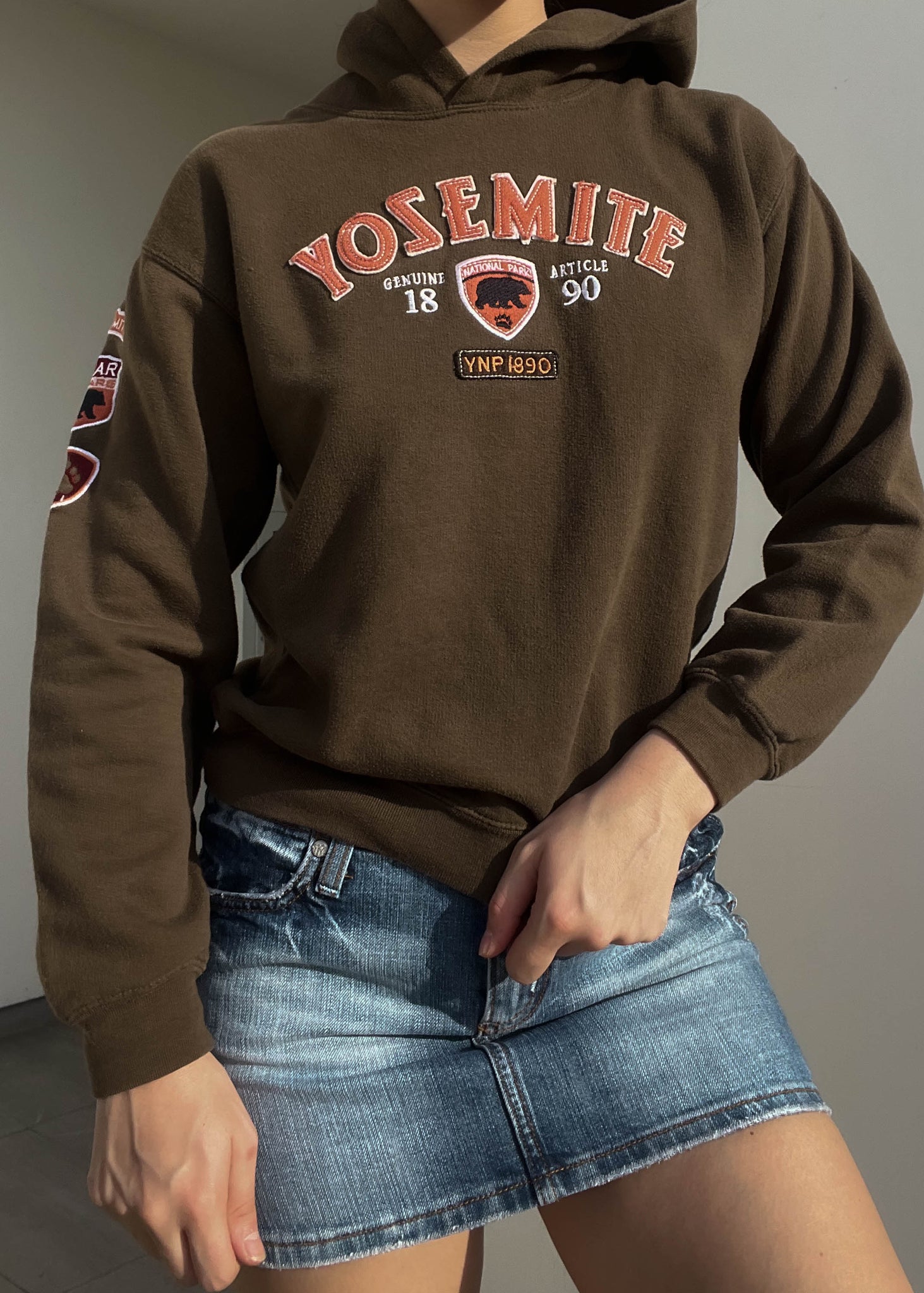 Brown & Orange Yosemite Hoodie (S)