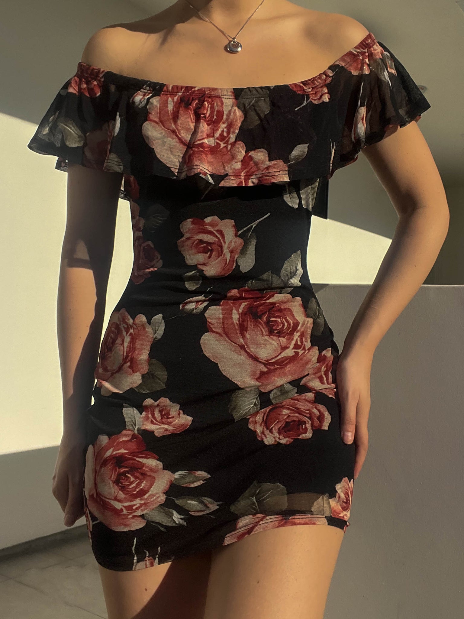 Rose Print Mesh Mini Dress (S)