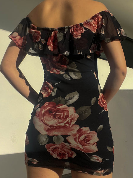 Rose Print Mesh Mini Dress (S)