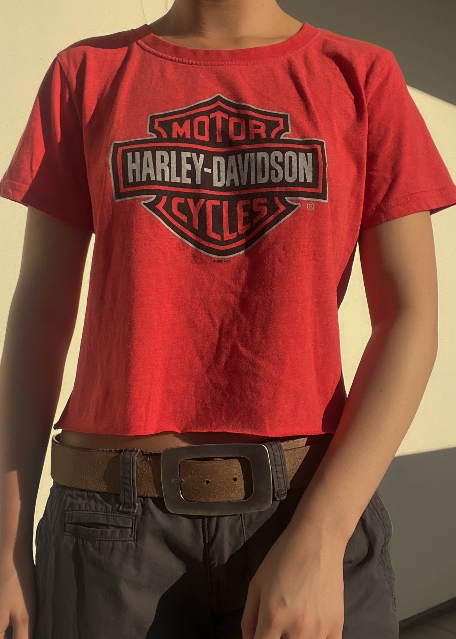 Red Gator Harley Tee (M)
