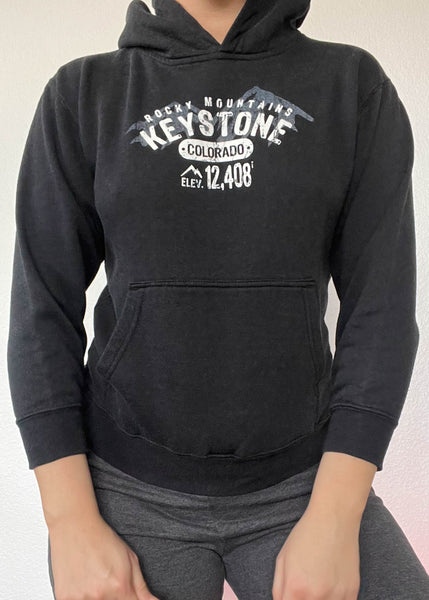 Y2k Keystone Hoodie (XS)