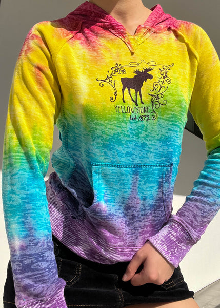 Y2k Yellowstone Rainbow Hoodie (S)