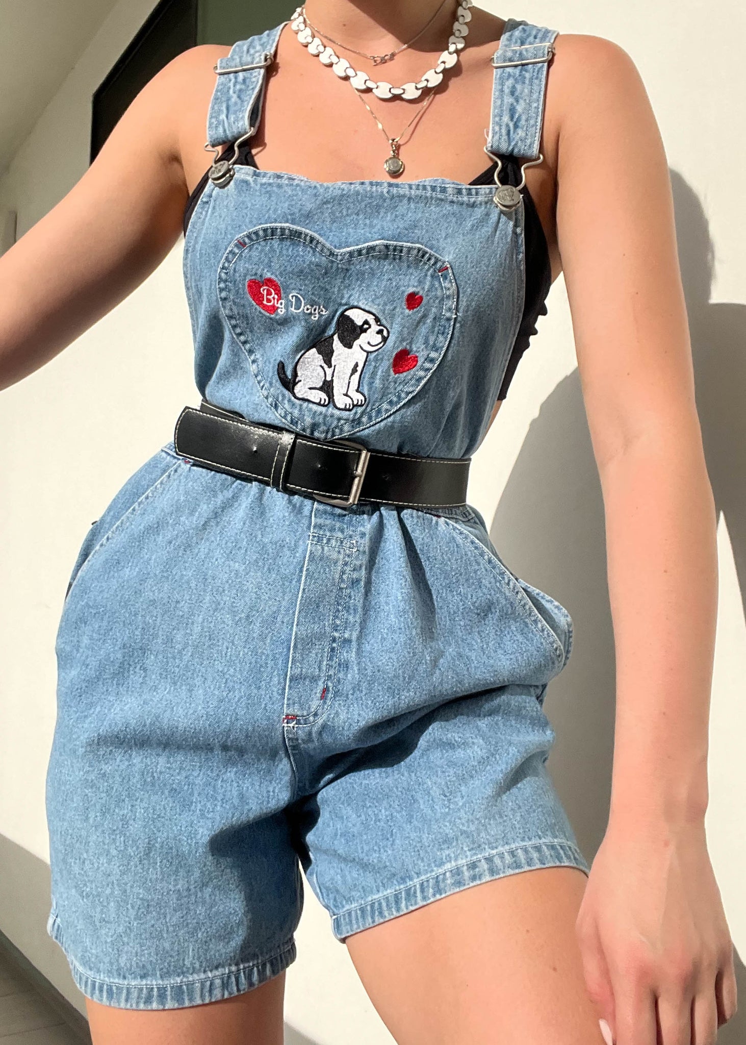 90's Big Dog Embroidered Overalls (M)