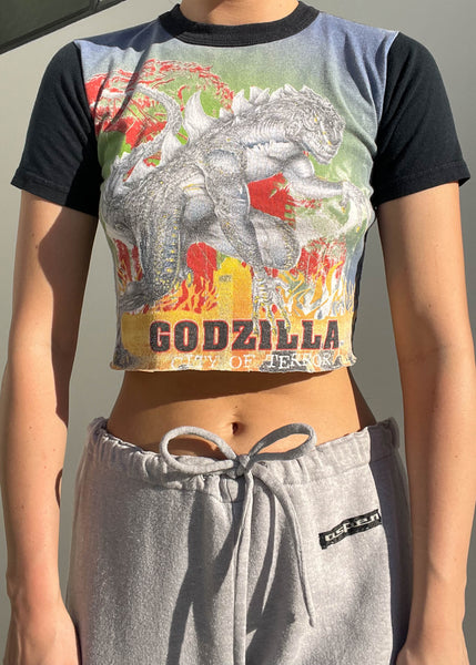 1998 Godzilla Graphic Tee (S)