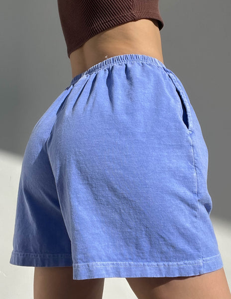 Periwinkle Button Shorts (S)