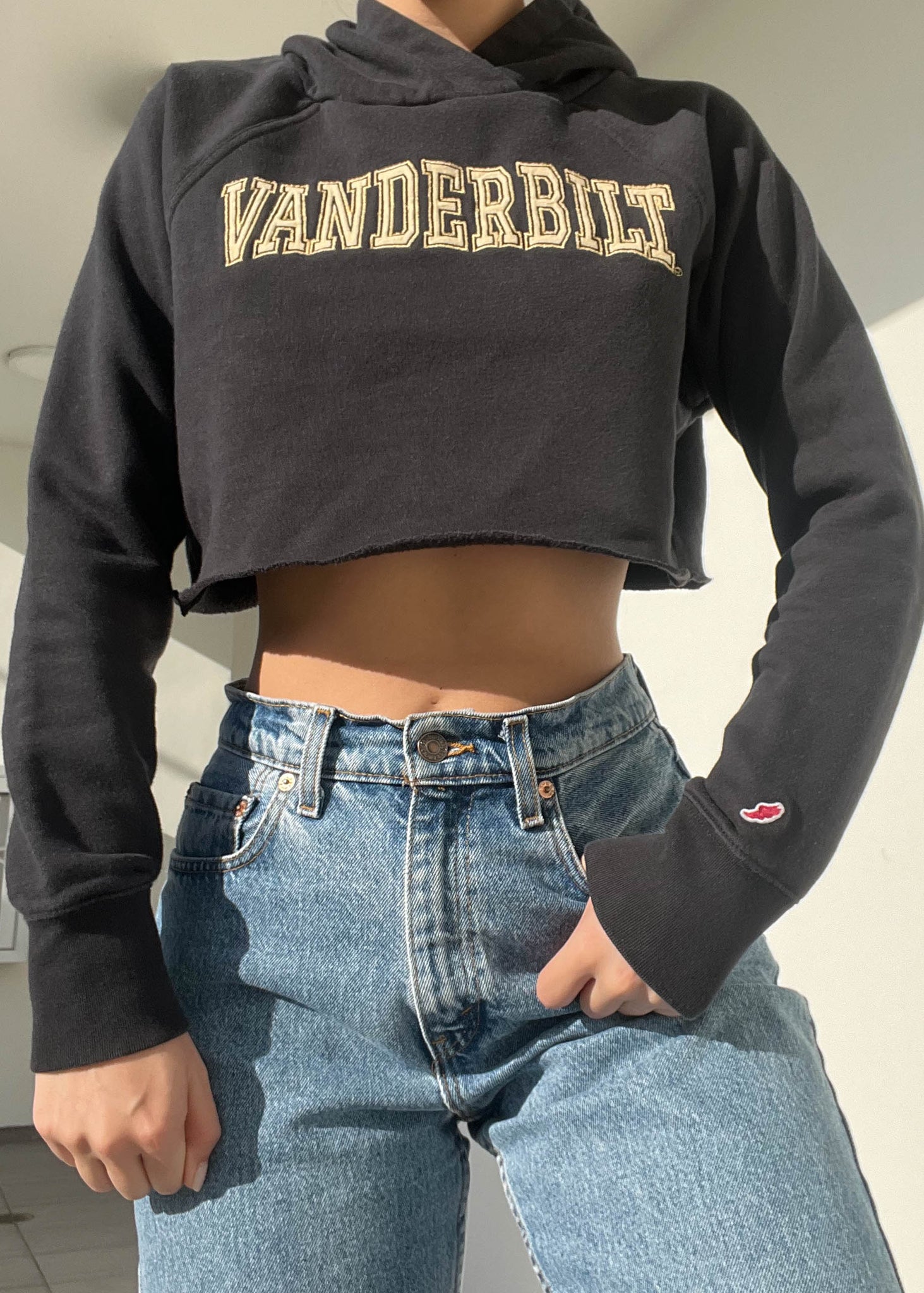 Y2k Vanderbilt Hoodie (S)