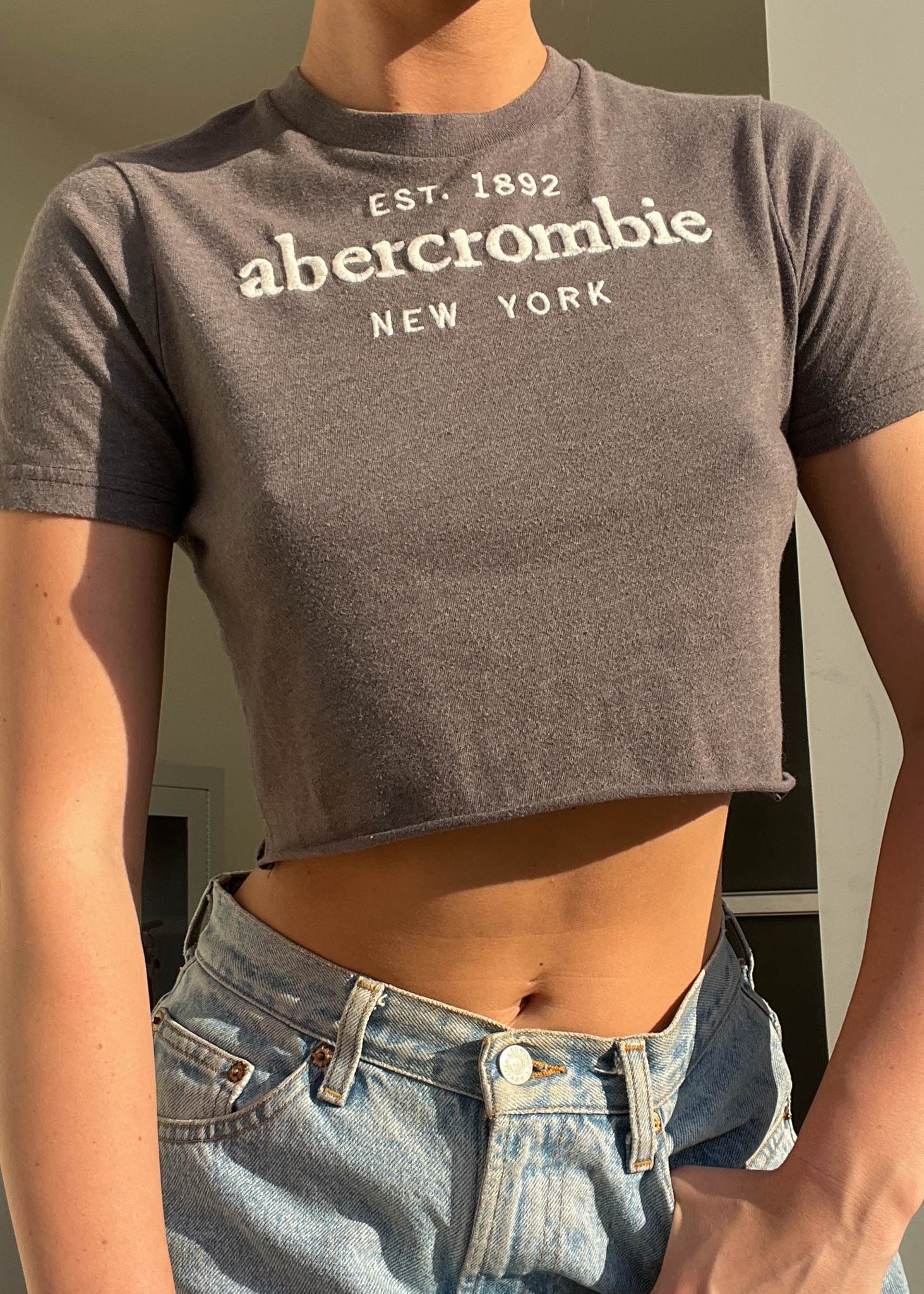 Y2k Gray Abercrombie Tee (S)